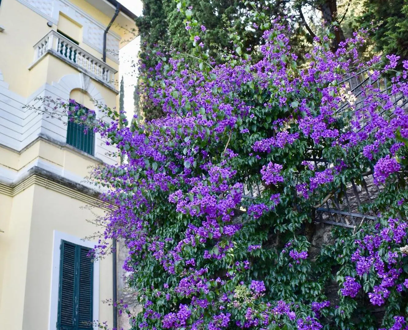 Appartamento Marieclaire - Theater Home Toscolano Maderno Italy